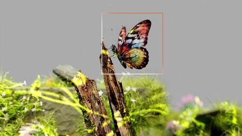 Green-it-butterfly