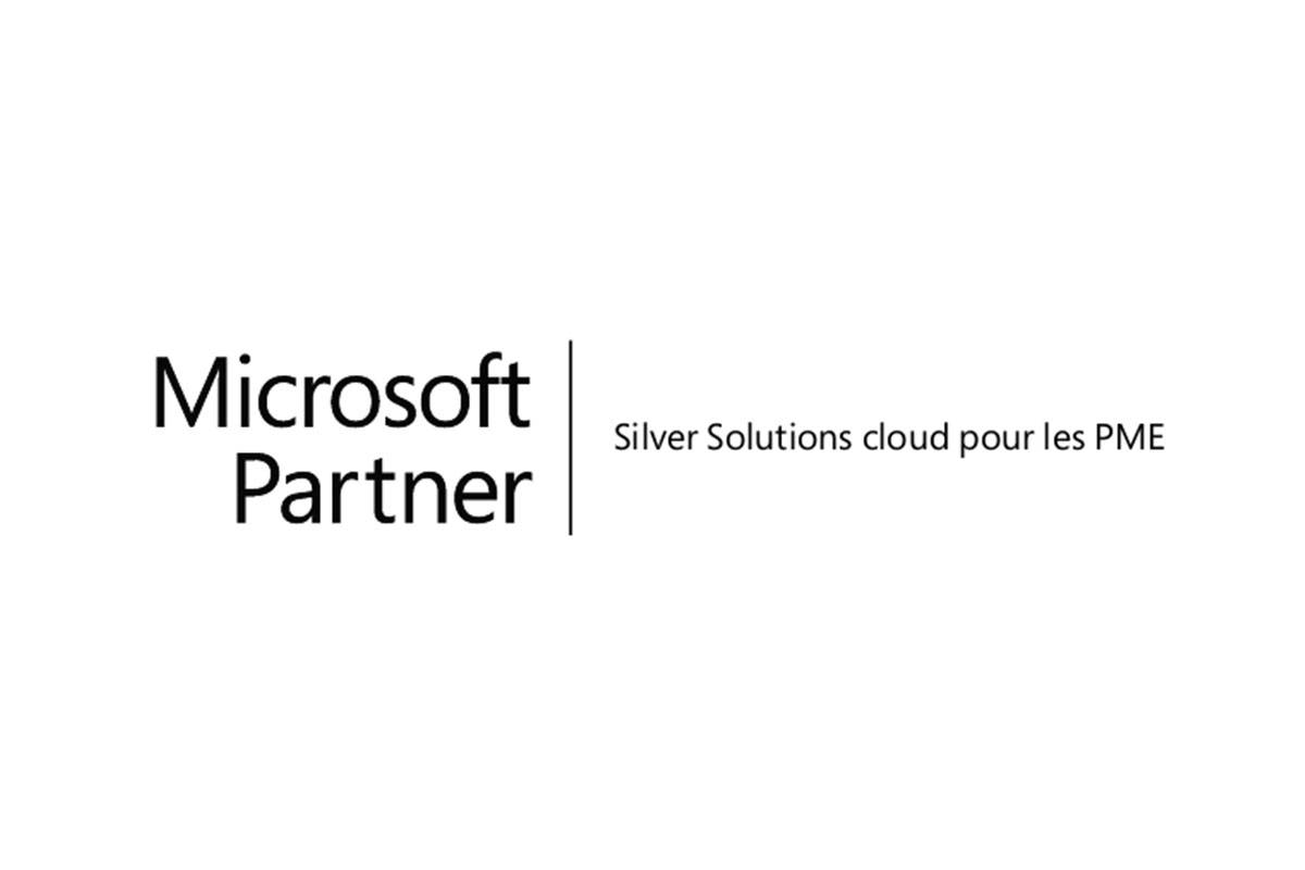 MS partner